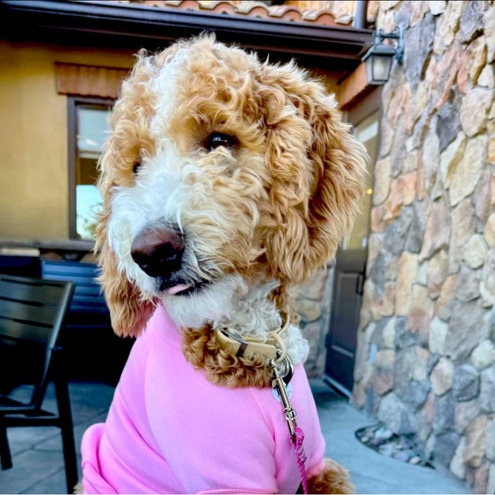 Pet Clothes Dog Warm Vest Winter Cute Hoodie Sweater Coat Costumes PINK